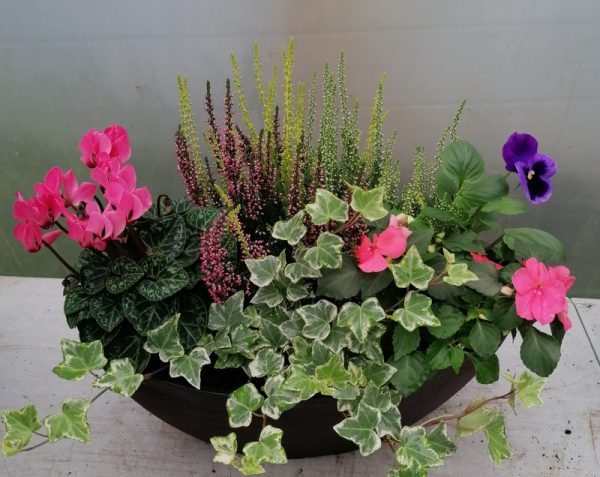 Oval Planter filed with seasonal colour