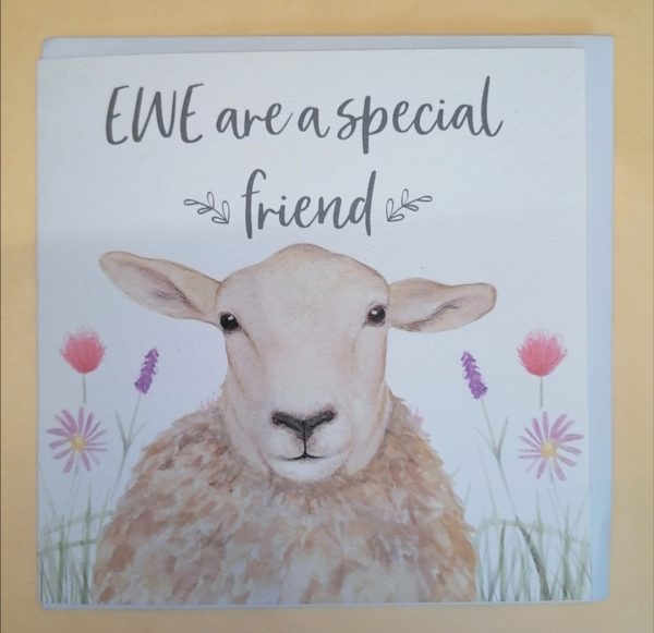 EWE are a special friend Greeting Card