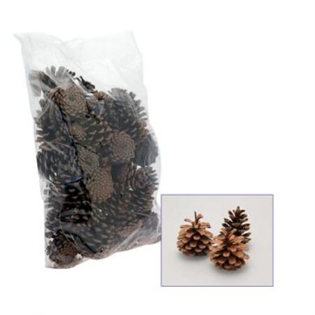 Decorative Dried Cones 1kg
