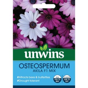 Osteospermum Akila Mix