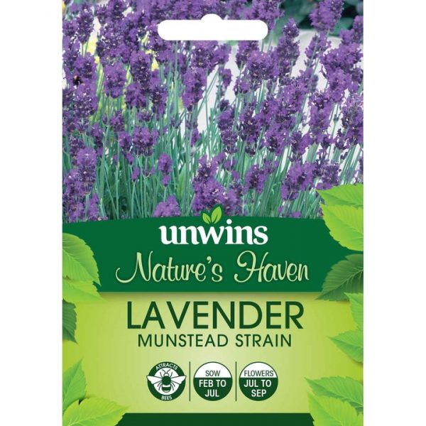 Lavender Munstead Strain Flower Seeds