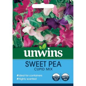 Sweet Pea seeds Cupid Mix