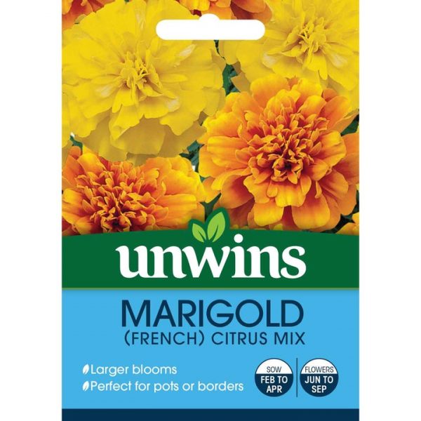 Marigold Seeds - French Citrus Mix
