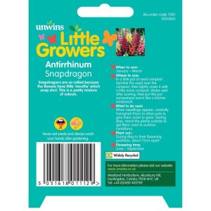 Little Growers Antirrhinum Snapdragon