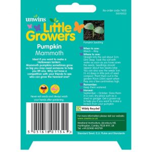 Little Growers Pumpkin Mammoth