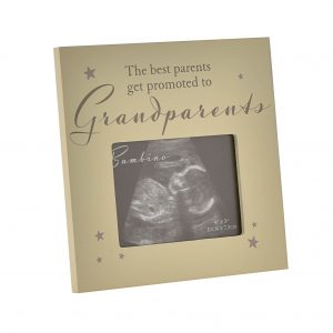 The Best Parents Get Promoted To Grandparents Photo Frame
