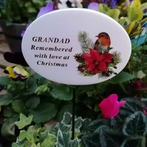 Graveside Robin Poinsettia Stick DF19604